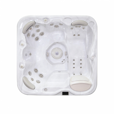 Hydropool Signature Self-cleaning 579 Gold